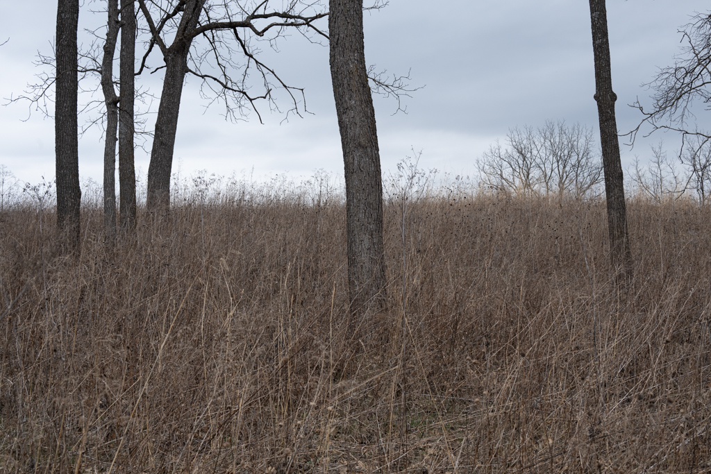 Link to Driftless project